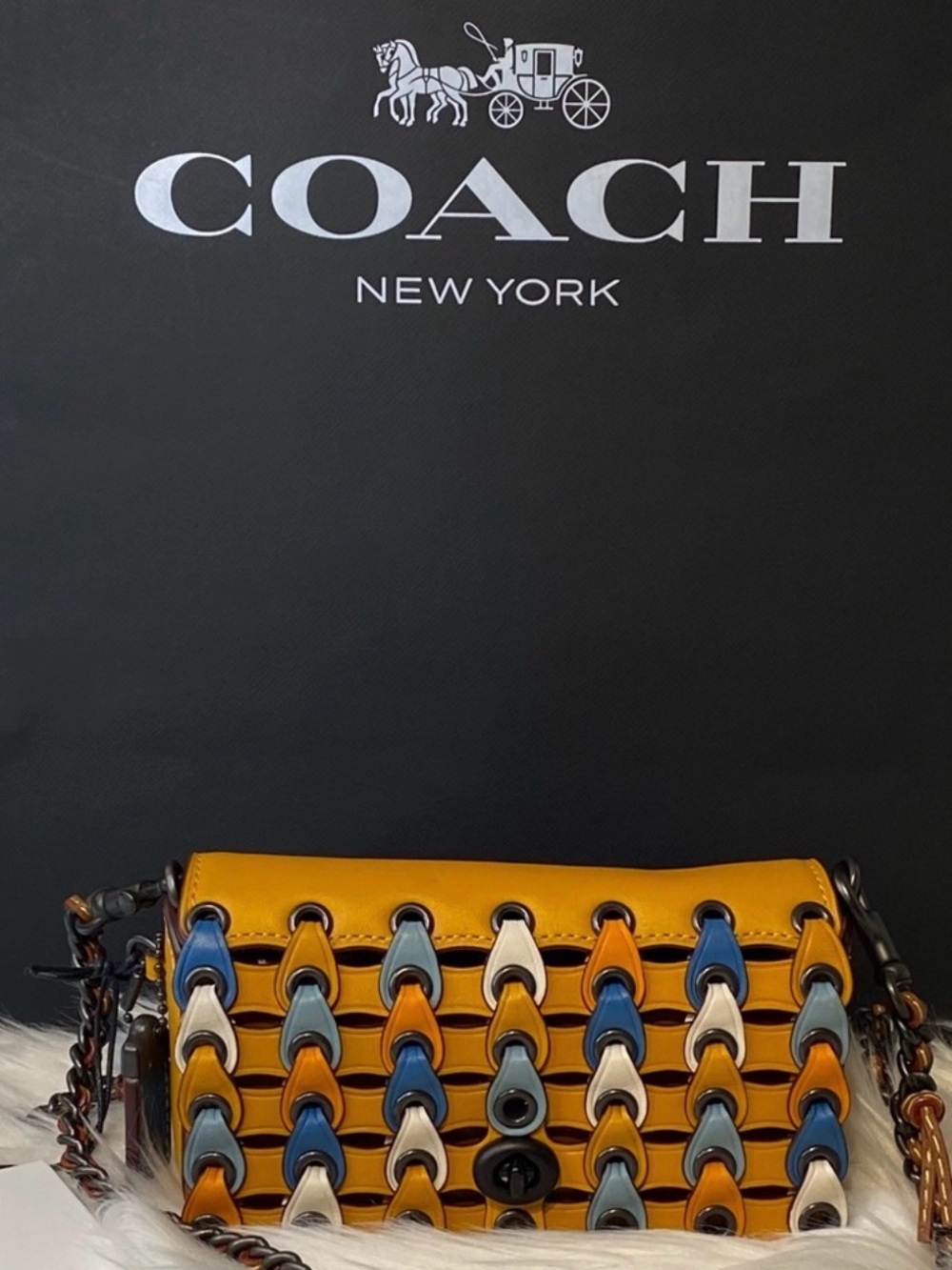 Coach Dinkier with colourblock link